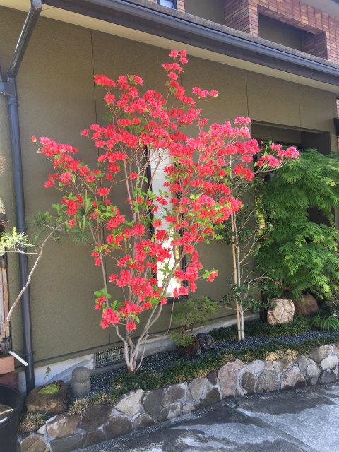 作品集・葉月園